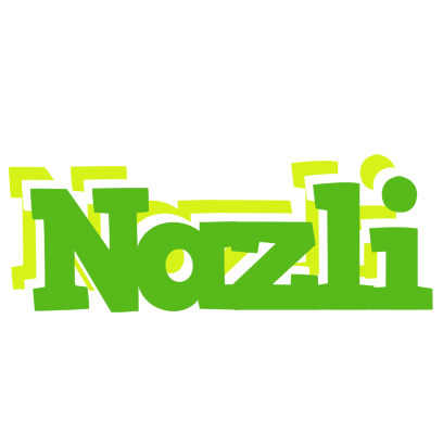 Nazli picnic logo