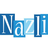 Nazli winter logo