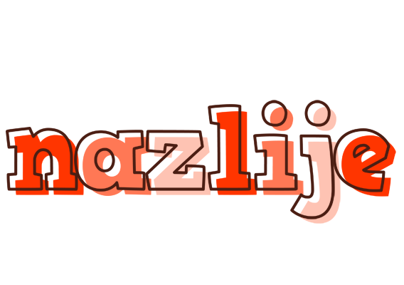 Nazlije paint logo