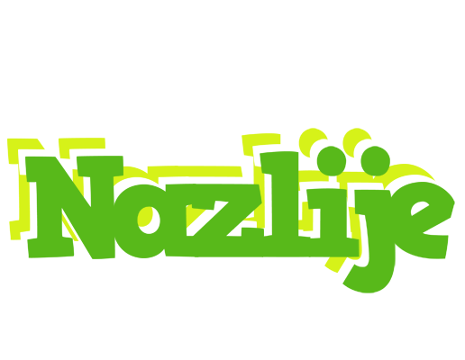 Nazlije picnic logo