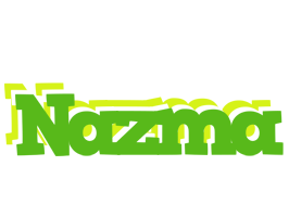 Nazma picnic logo