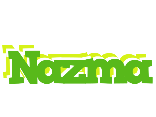 Nazma picnic logo