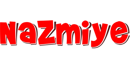 Nazmiye basket logo