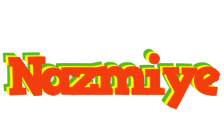 Nazmiye bbq logo