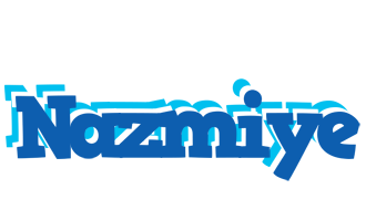 Nazmiye business logo