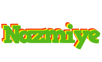Nazmiye crocodile logo