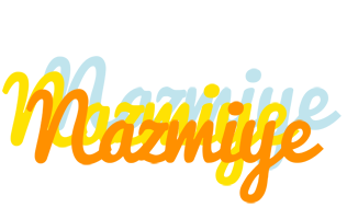 Nazmiye energy logo