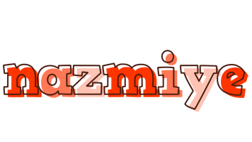 Nazmiye paint logo