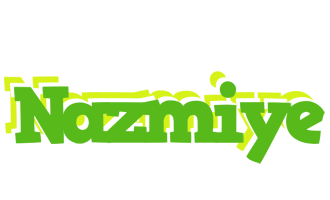 Nazmiye picnic logo