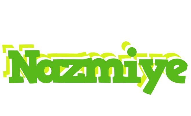 Nazmiye picnic logo