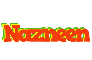 Nazneen bbq logo