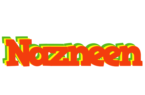 Nazneen bbq logo