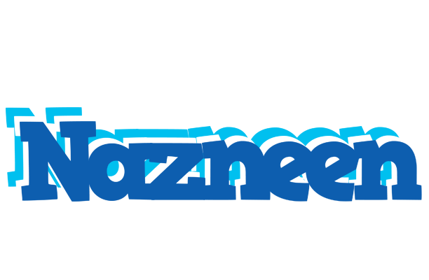 Nazneen business logo