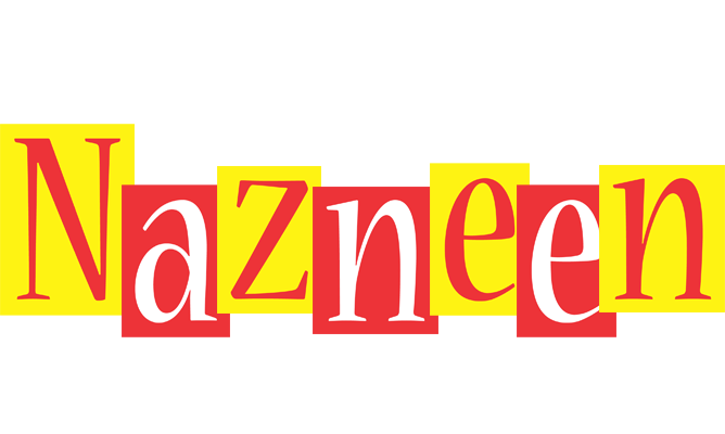 Nazneen errors logo