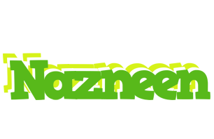 Nazneen picnic logo