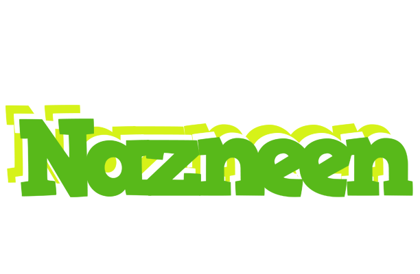 Nazneen picnic logo