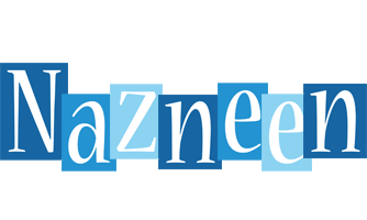 Nazneen winter logo