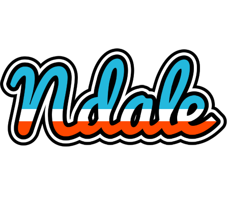 Ndale america logo