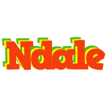 Ndale bbq logo