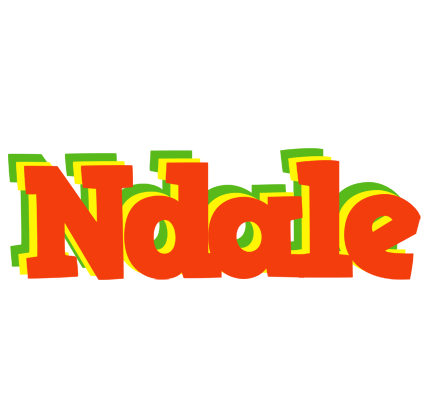 Ndale bbq logo