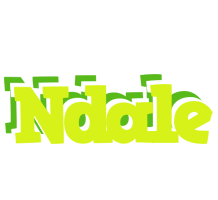 Ndale citrus logo