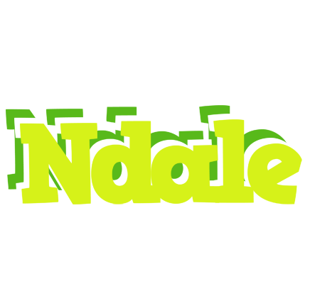 Ndale citrus logo