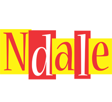 Ndale errors logo