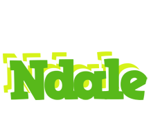 Ndale picnic logo