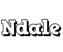Ndale snowing logo