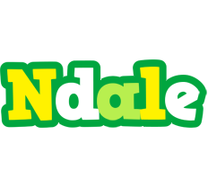 Ndale soccer logo