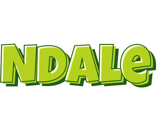 Ndale summer logo