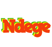 Ndege bbq logo