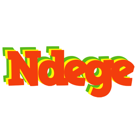 Ndege bbq logo