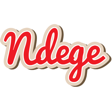 Ndege chocolate logo