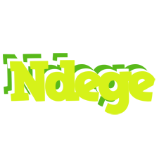 Ndege citrus logo