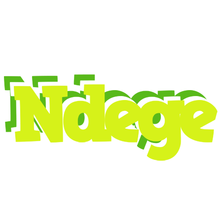 Ndege citrus logo