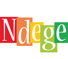 Ndege colors logo