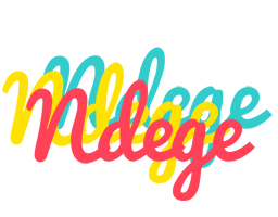 Ndege disco logo