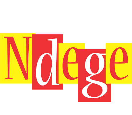 Ndege errors logo
