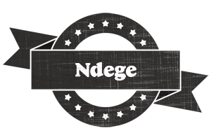 Ndege grunge logo