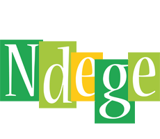 Ndege lemonade logo