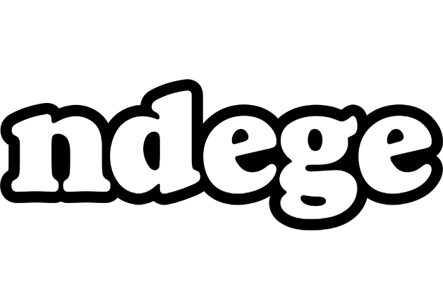 Ndege panda logo