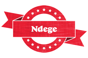 Ndege passion logo