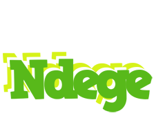 Ndege picnic logo