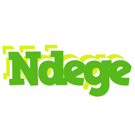 Ndege picnic logo