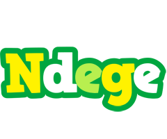 Ndege soccer logo