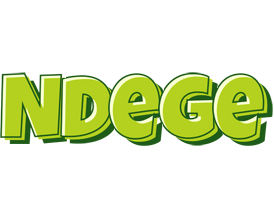 Ndege summer logo