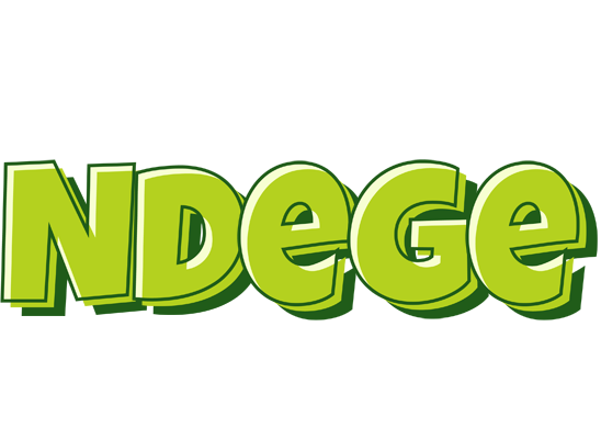 Ndege summer logo