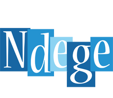 Ndege winter logo