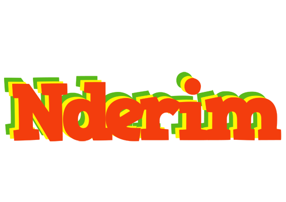 Nderim bbq logo